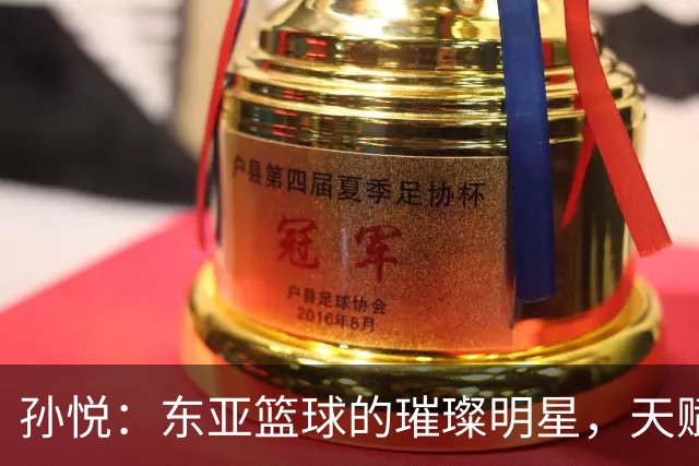 孙悦：东亚篮球的璀璨明星，天赋与实力并存